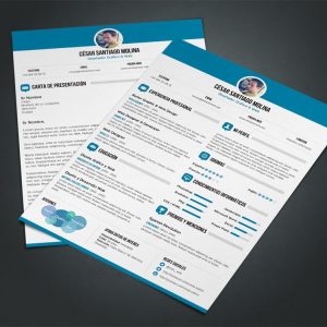 Executive CV