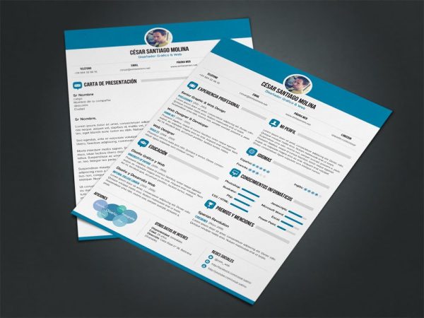 Executive CV